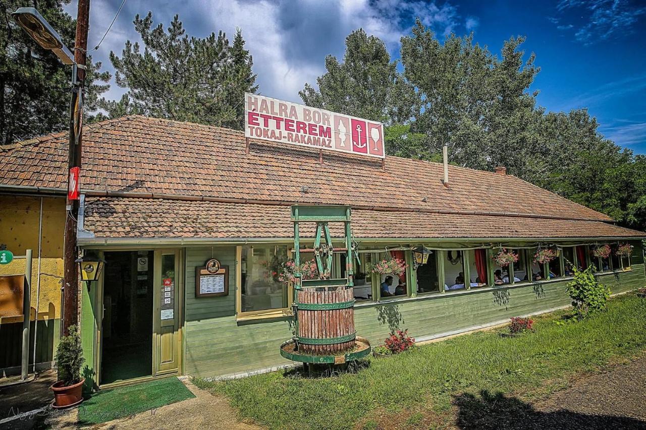 Hotel Csillag